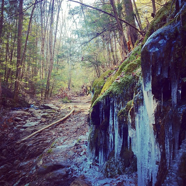 Winter Hiking