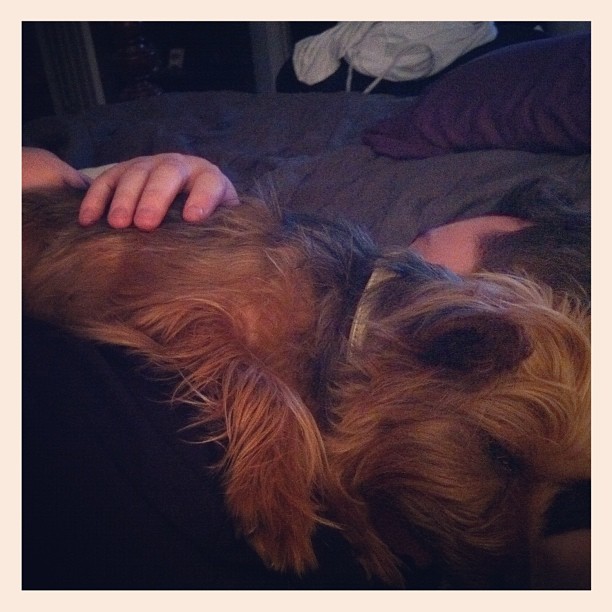 snuggles with @seanp284