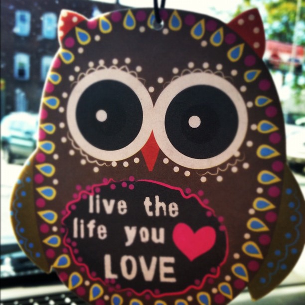adorable air freshener from my future sister (in law)!!!!!!! ?