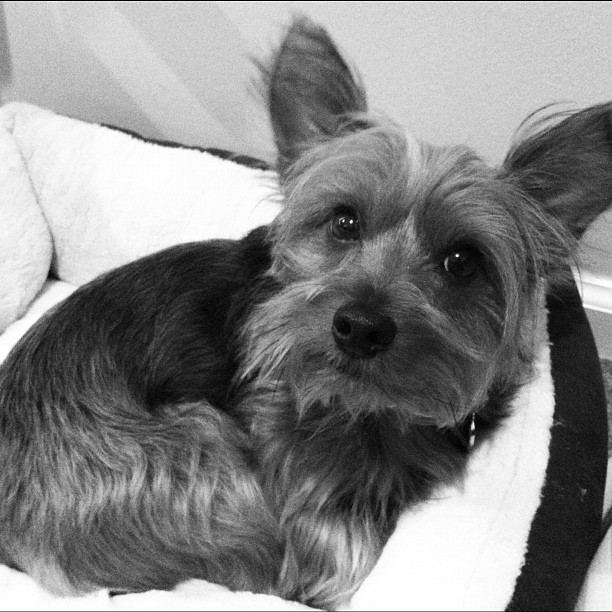 love this face.