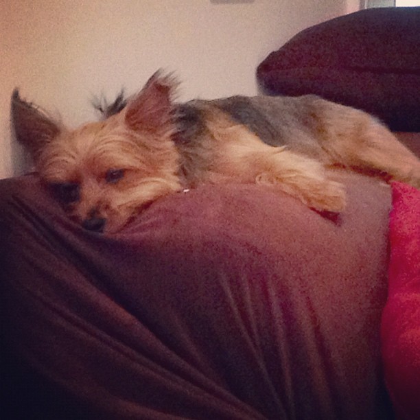 phew, thank goodness it's friday.