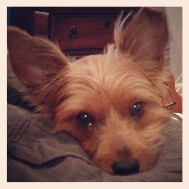 not sure how @seanhenri and I leave this face every morning