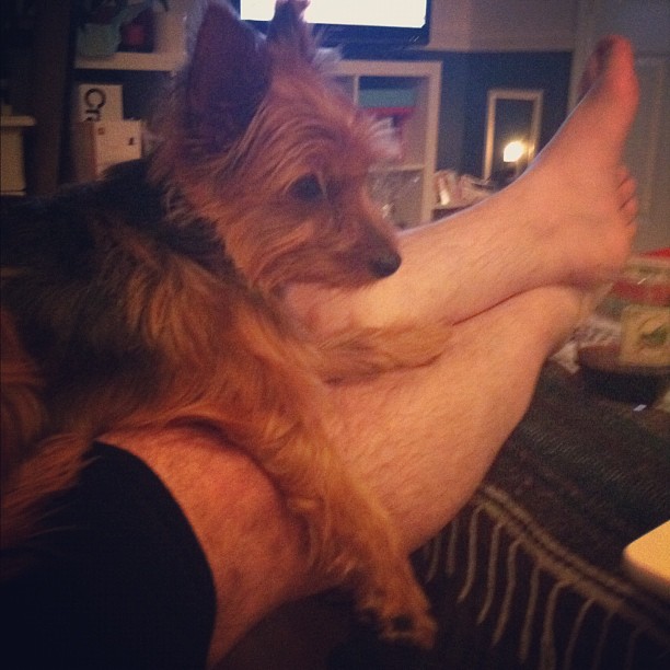 lounging with daddy ~@seanhenri