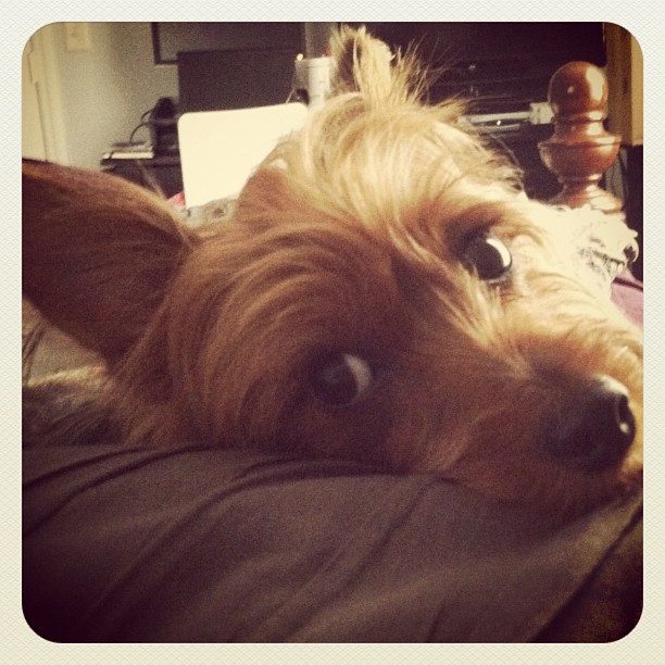 couldn't be happier to have this face lookin back at me