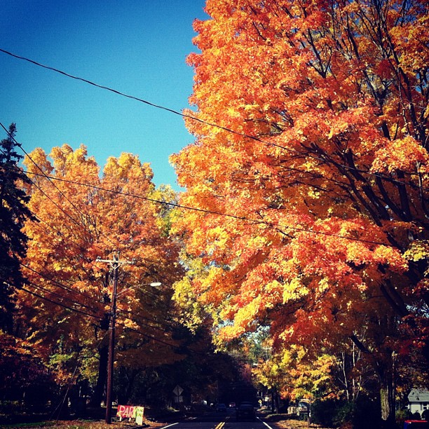 #fall in #connecticut #beautiful