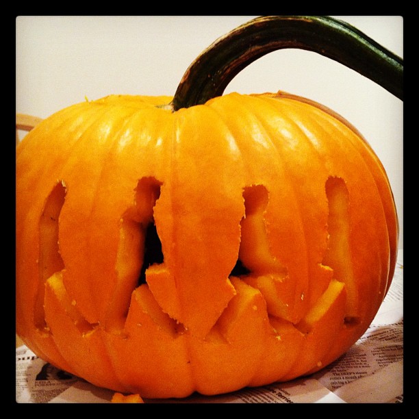 totally found my calling #halloween #beatles #abbeyroad #henricarvefest2012