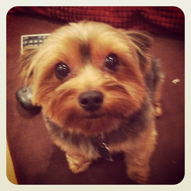 our house guest for the weekend :)