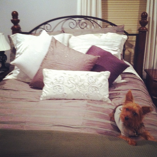 finally have our new bedding! #weddingbedding #gracieapproves