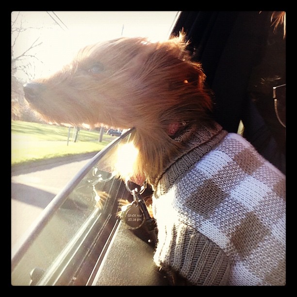 just lettin her hair blow in the wind....