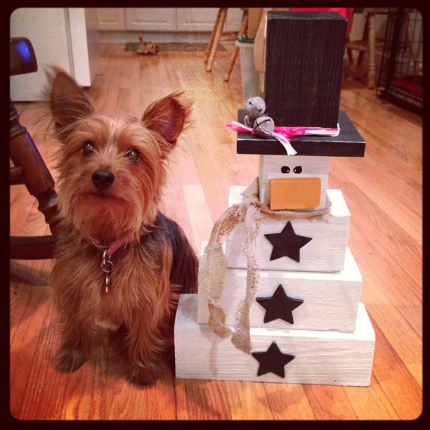 Gracie and frosty #puppy #snowman #craft