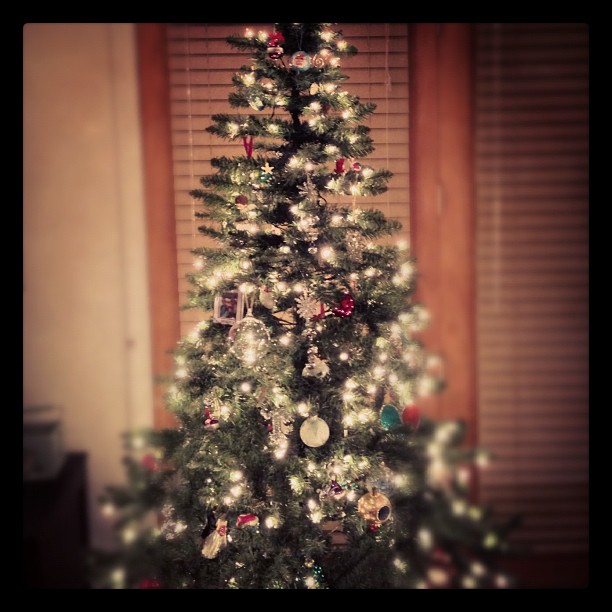 first *kissmas* tree as mr & mrs! loving every minute :)