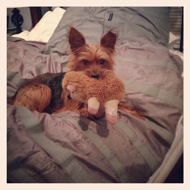 who's ready for bed? this girl.