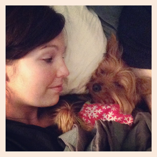 pure furry sweetness. love this little cupcake. #snuggling #puppymom #love