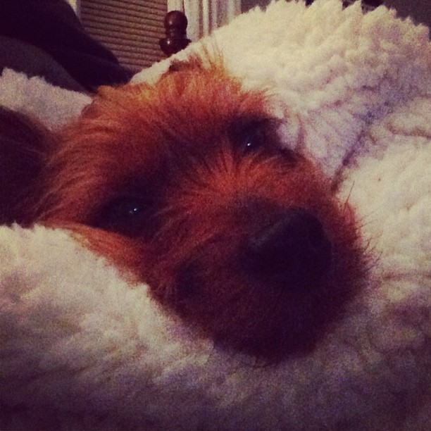 cozy.