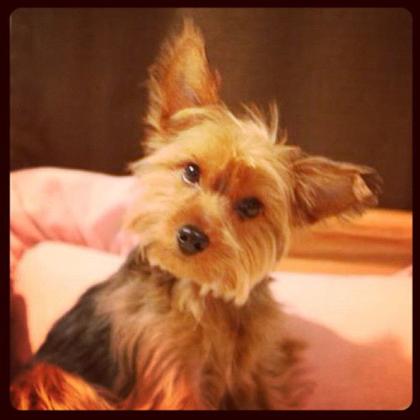 sweet curiosity #lovethisface