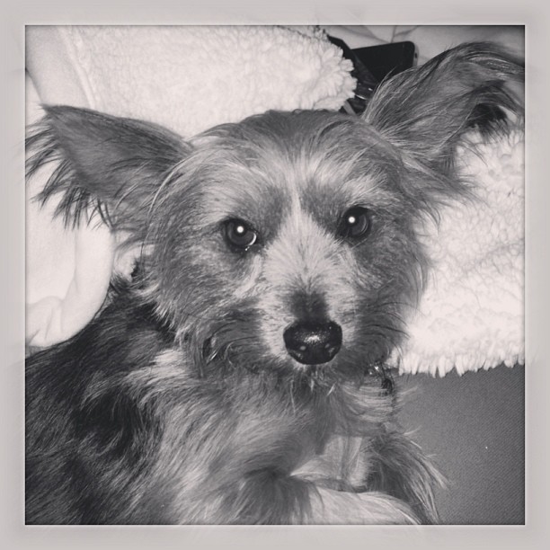 sweetest face I know :)
