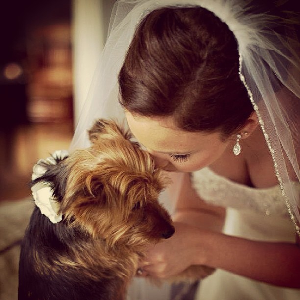 my sweet puppy girl #love #furchild #puppymom