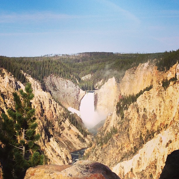 artists point, grand canyon of the yellowstone. #yellowstone
