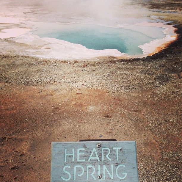 •watch over your heart with all diligence, for from it flow the springs of life•  proverbs4:23