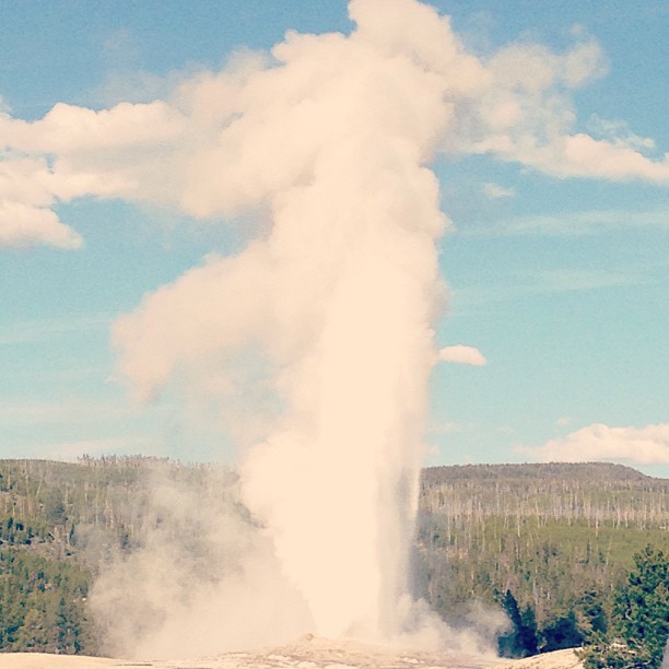 oh hey old faithful. fancy meeting you here  #yellowstone #oldfaithful #geyser