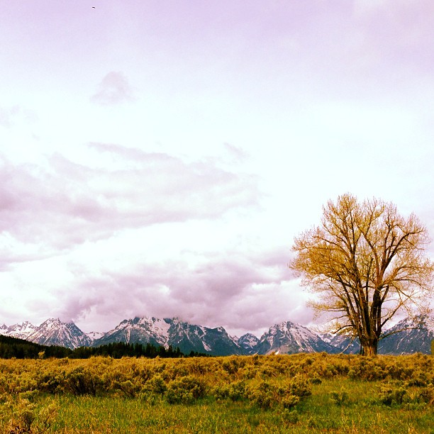 doesn't get much better than this. #grandteton #nationalpark #jackson