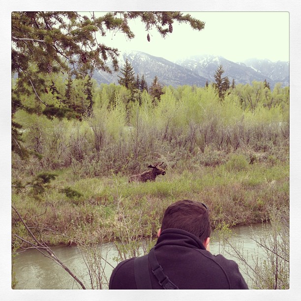 husband and melvin the moose. @seanhenri