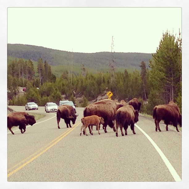 traffic jam