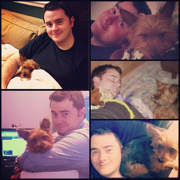 happy fathers day to the best puppy dad I know! Graciegirl loves you so much!!! @seanhenri