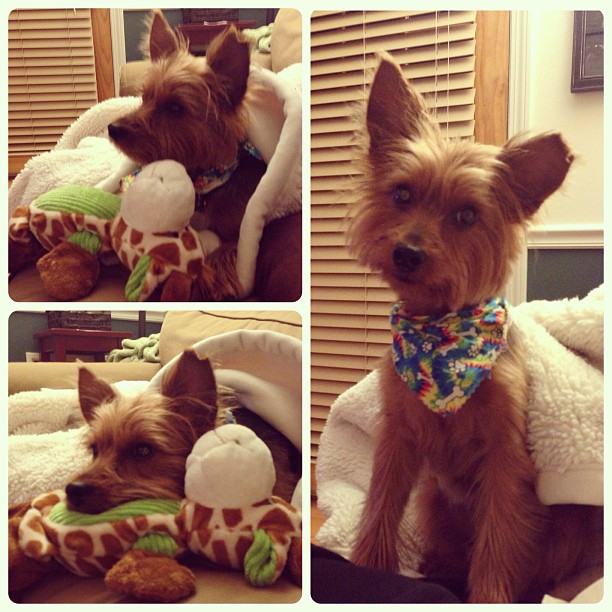 cuteness #furchild