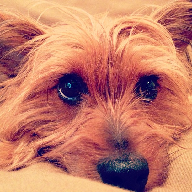 this face.