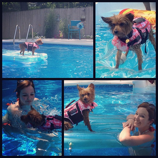 pure entertainment! #furchild
