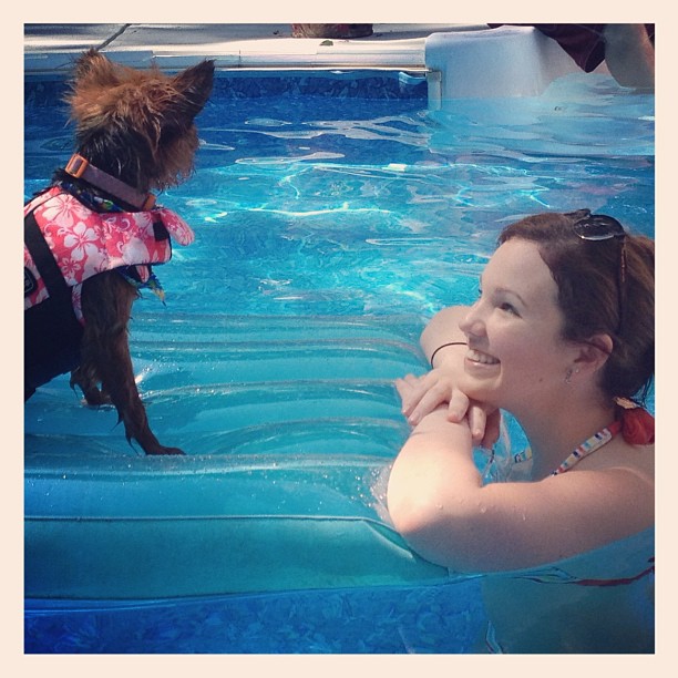 adventures in swimming...she's a natural. #furchild #yorkieinalifejacket