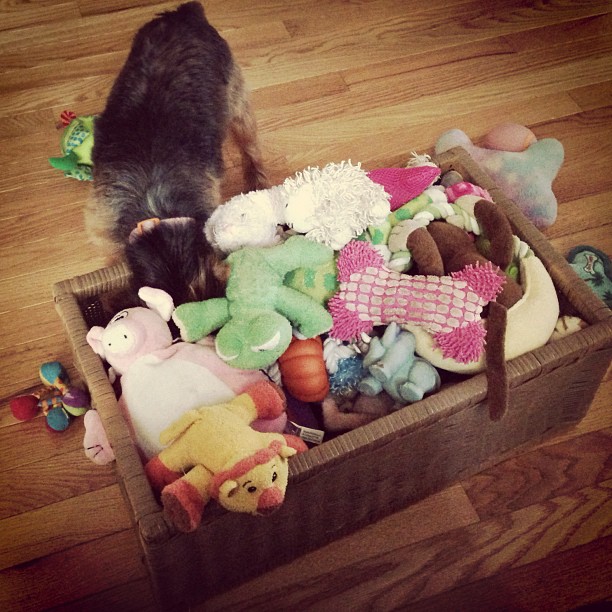 it's a good life. #shehasitmade #furchild