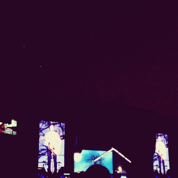 blackbird. #outthere