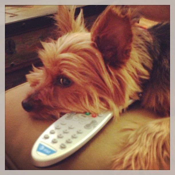 channel surfing during a thunderstorm...