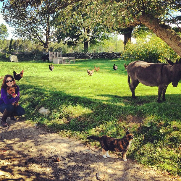 a girl and her dog. and a cat, donkey, goats and chickens.
