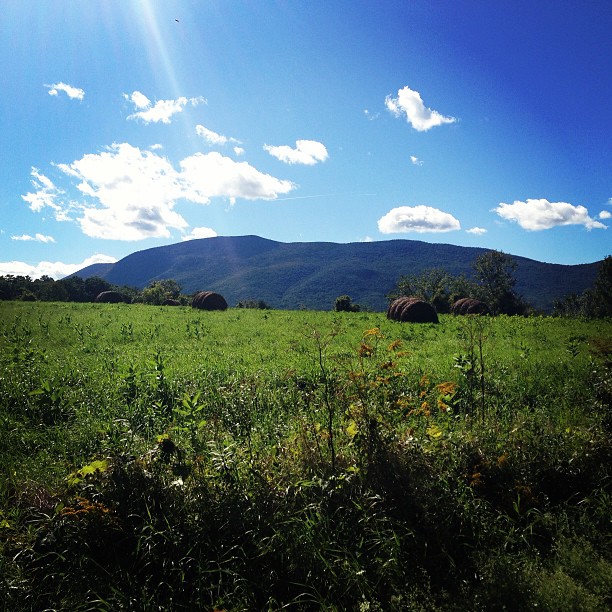 #vermont #beauty