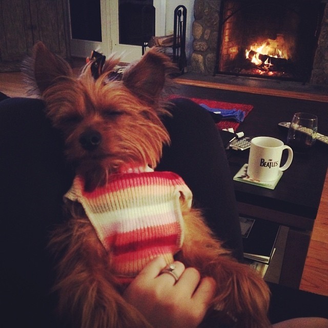 love this snugglebug.  #graciegram