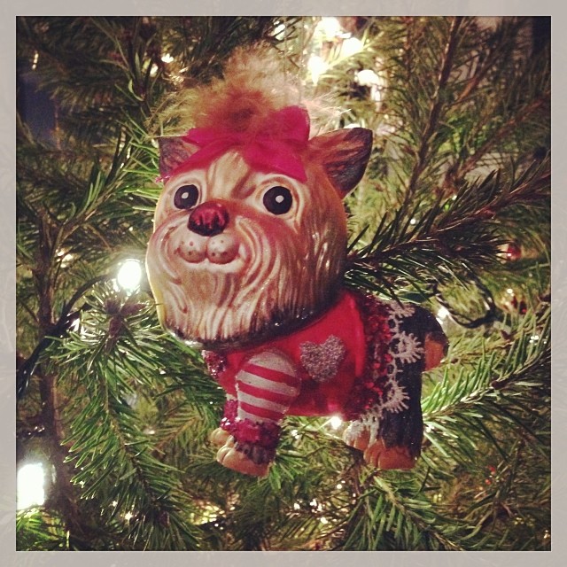front and center on our tree thanks to @newlymueller and @muellerm50 #soridiculouslyperfect