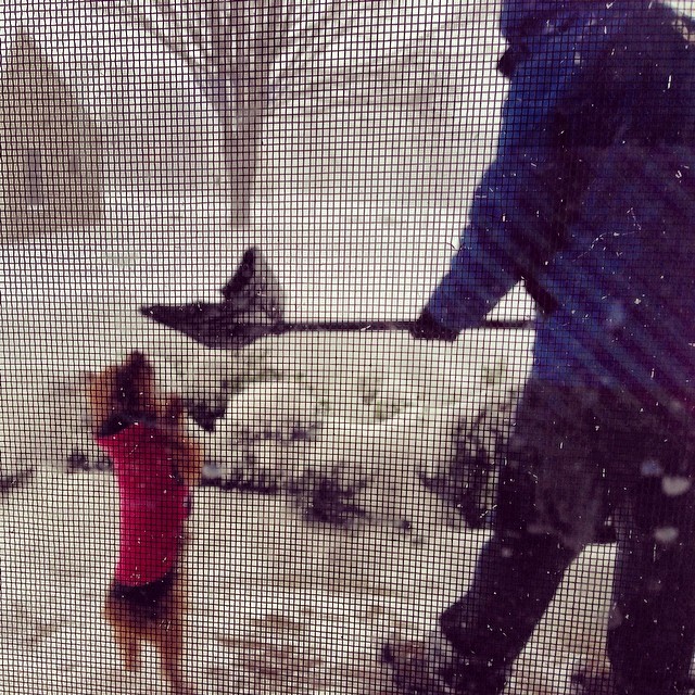 clean up crew is in full force in cheshire. #didyouhearitssnowingtoday