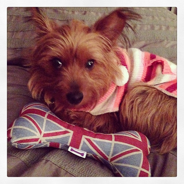 presents from England #graciegram