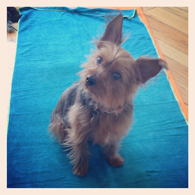 yoga saturday