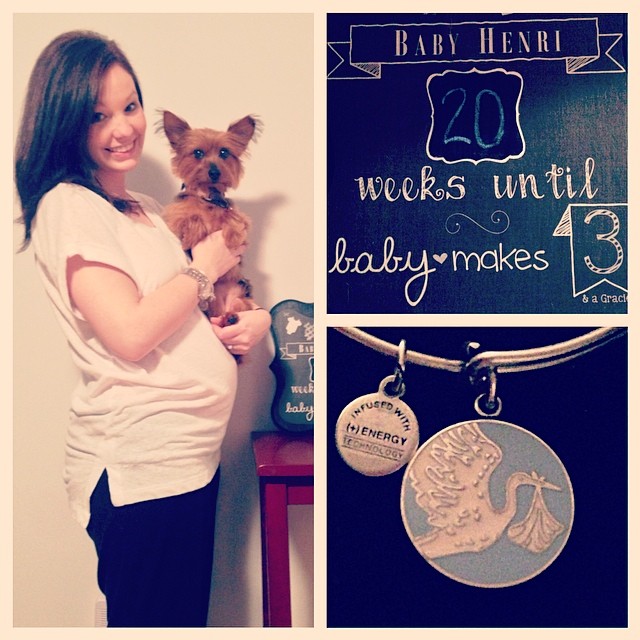 mothers day week wouldn't feel right without including my sweet gracie girl! our little man will be here before we know it  #20weeks #halfwaythere!