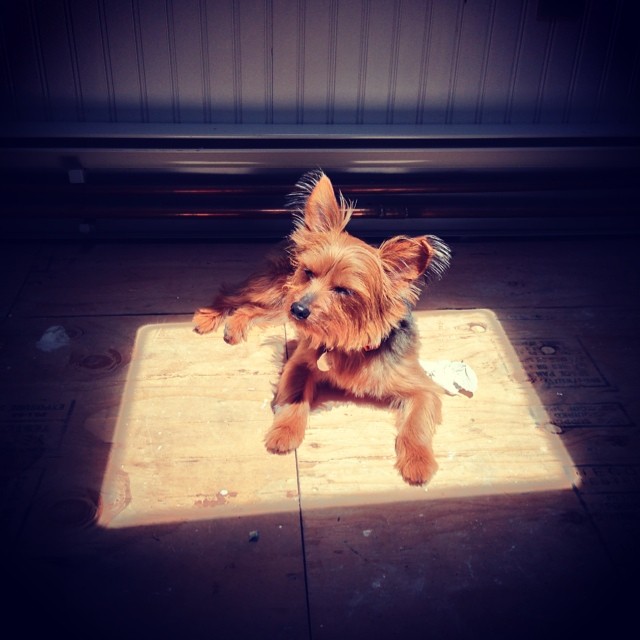 enjoying baby henri's skylight in his room #whoneedsaflooranyway