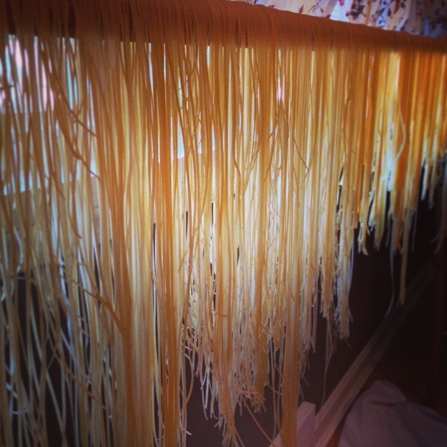 some of the finished product!  no boxes, no preservatives, just pasta. :)