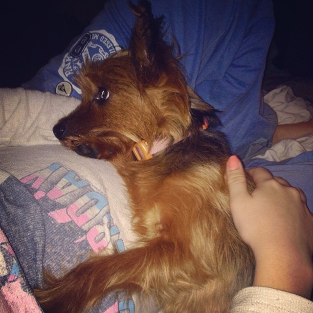 snuggling with her little bro  #graciegram #heartmelt