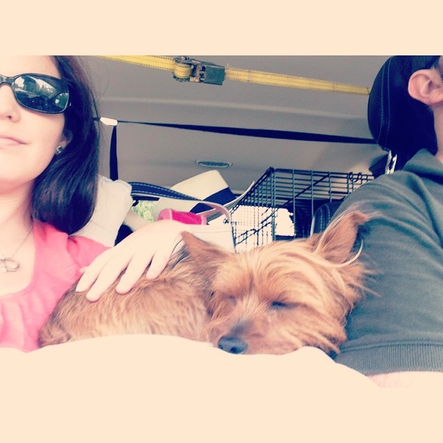 such a fun trip..now I'll just dream about my little brother's arrival. you can drive, right dad? #babymooning #graciegram