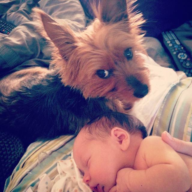 oh my heart :)  #brianpatrick #graciegram