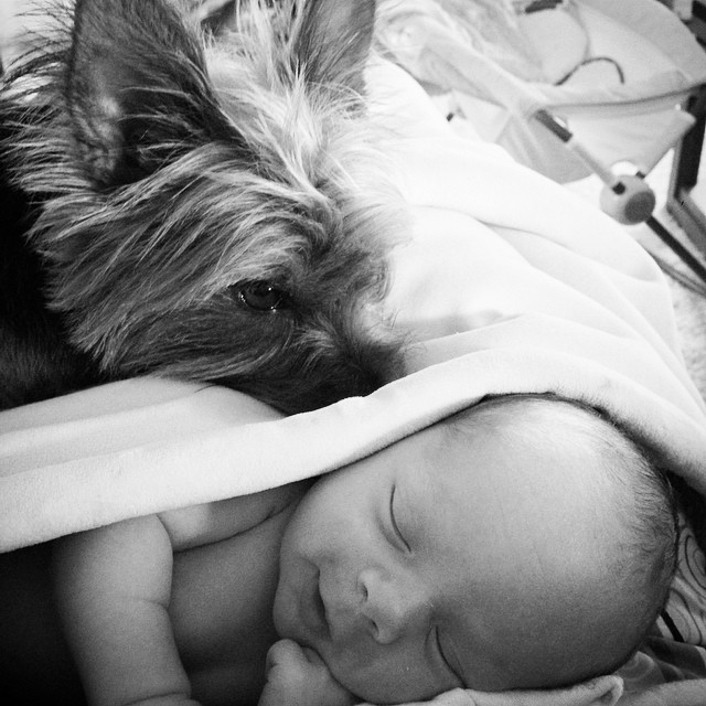 just can't get enough of these two snugglebunnies  #brianpatrick #graciegram