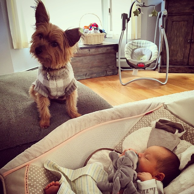 first day at home, just these two and mama  #brianpatrick #graciegram #bff (sorry for instagram overload)